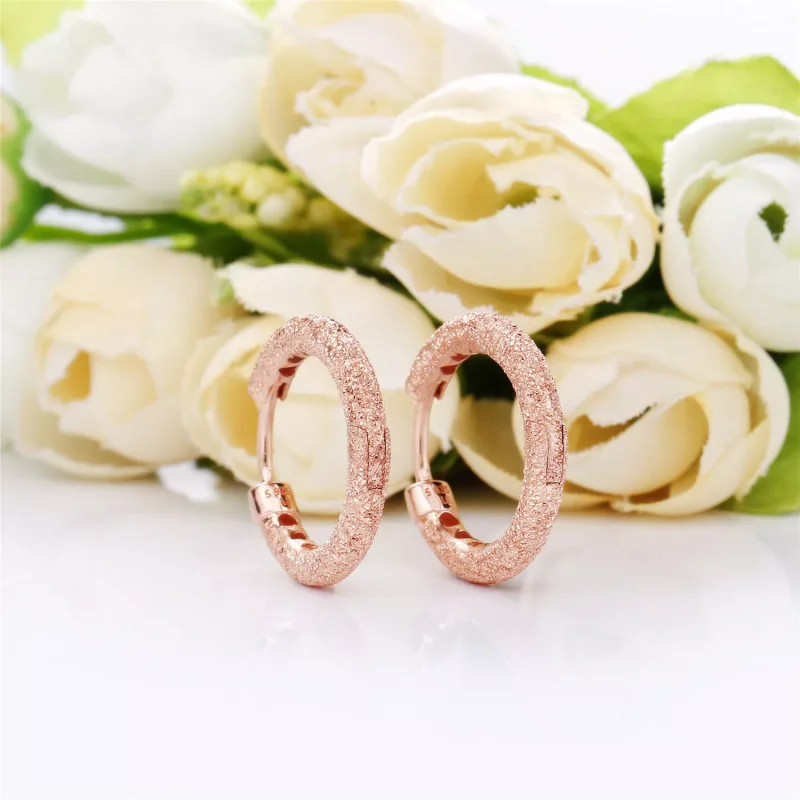 (bild till) PANDORA Matte Brilliance Hoops Örhängen 287930 - View 2