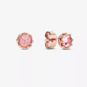 (bild till) Stiftörhängen Med Rosa Glittrande Krona - 288311C01