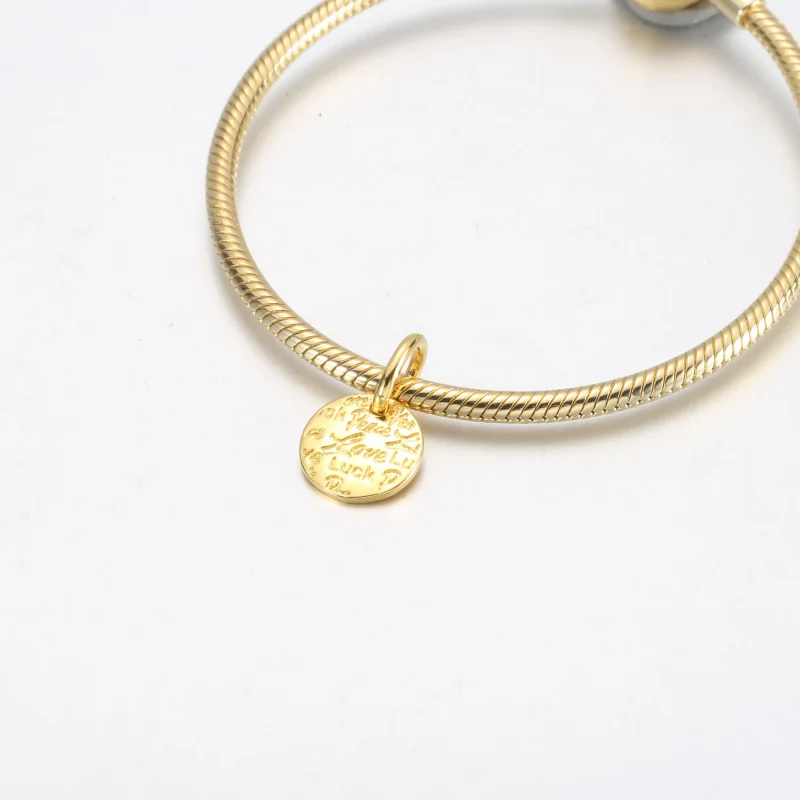 (bild till) PANDORA Peace, Love & Luck Hängecharm - 752329C00 - View 7