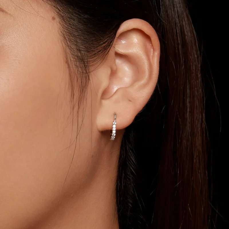 (bild till) Pandora-stil Hjärtformade Moissanite-örhängen i Ringform (Ett certifikat) - MSE0 - View 5