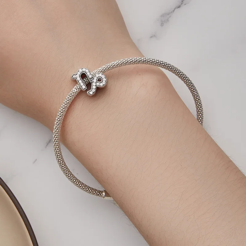 (bild till) Pandora Style Capricorn Lucky Zodiac Charm - SCC2516-10 - View 6