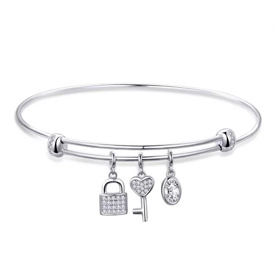 (bild till) Pandora Stil Armring Vackert Löfte - Scb119
