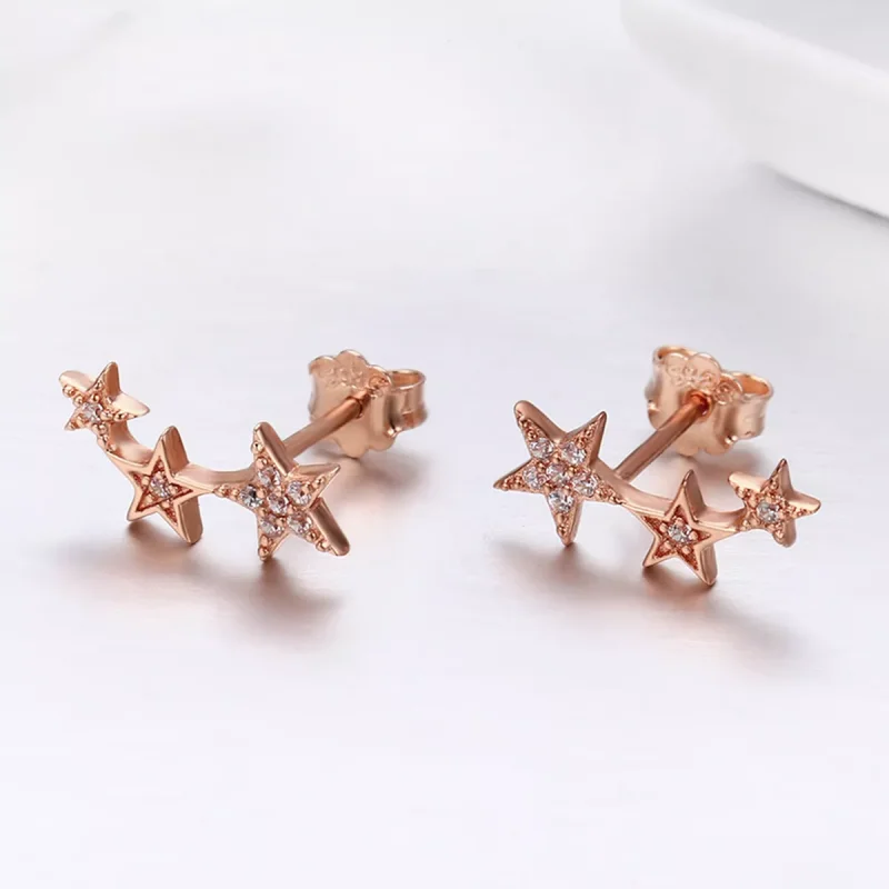 (bild till) Pandora Stil Stiftörhängen Secrets Of Stars 14 Karat Roséguld - Sce291 - View 4